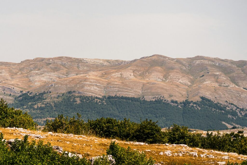 a view of a mountain range from a distance