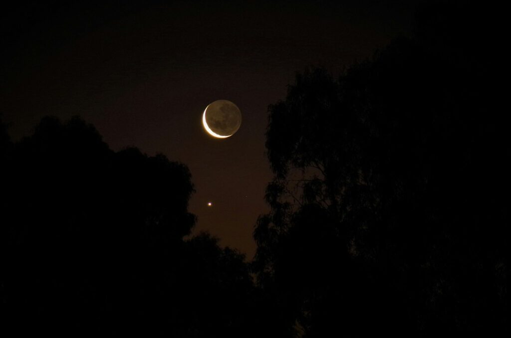 the moon and venus are seen through the trees